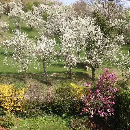 1463 Apartmenthaus 3* カールスルーエ