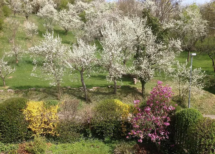 1463 Apartmenthaus 3* Karlsruhe